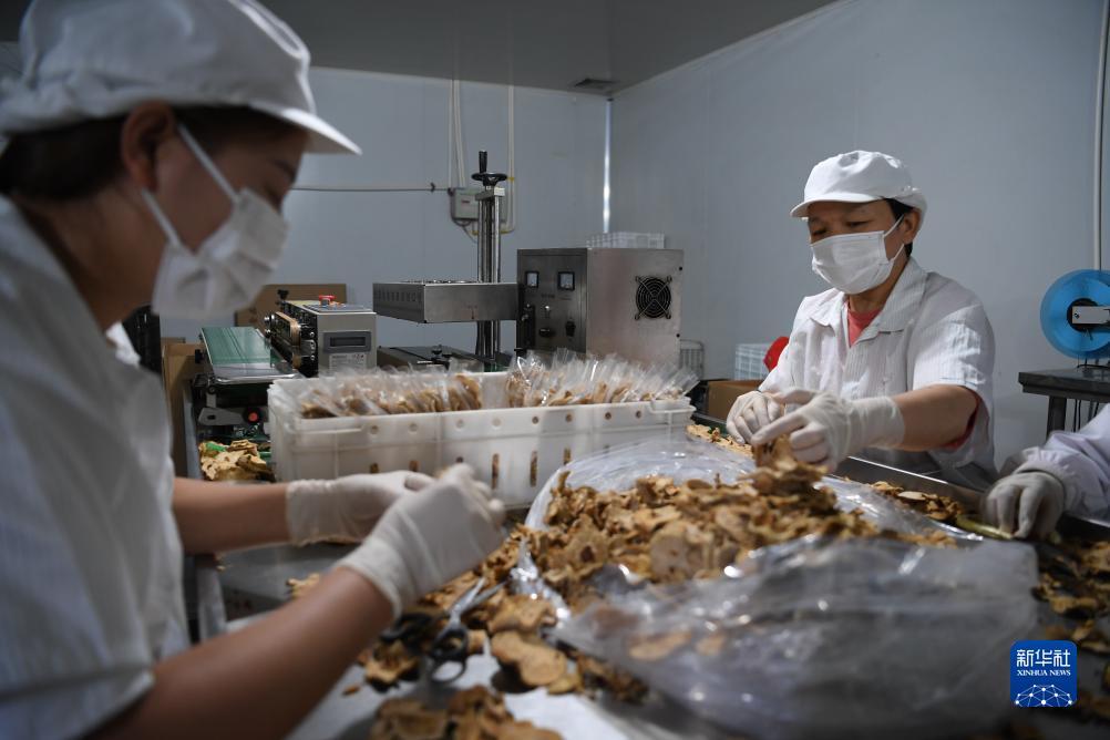 捕鱼游戏寻鱼决